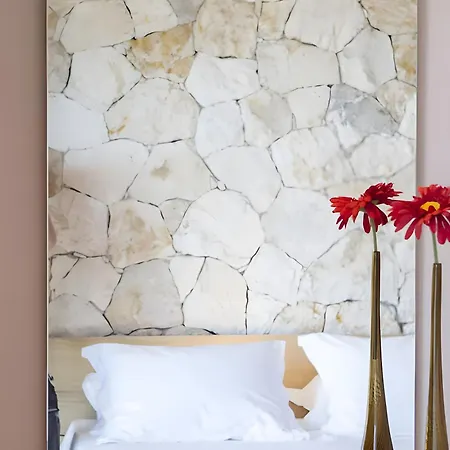 Modern Country Vila *